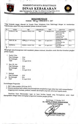 24. b. Rekomendasi Kenaiakan Pangkat Pilihan