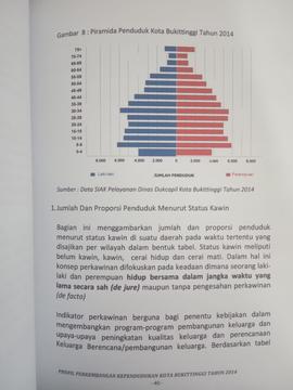 Khazanah arsip  halaman 25  dari BAB III, Kuantitas Penduduk,Gambar 8 ; Piramida Penduduk Kota Bu...