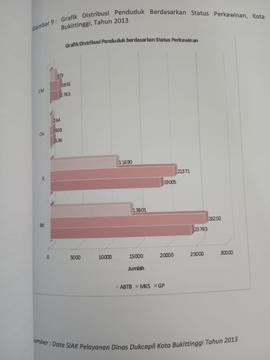 Khazanah arsip  halaman 27  dari BAB III, Kuantitas Penduduk,Gambar 9 : Grafik Distribusi Penduduk berdasarkan Status Perkawinan, Kota Bukittinggi thun 2013.