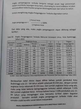 Khazanah arsip   halaman 8  dari  BAB IV. Kualitas Penduduk, Tabel 30 : Angka Pengangguran Terbuka menurut Kelompok Umur.