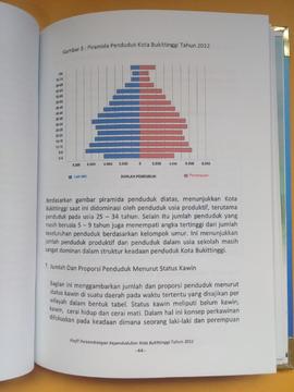 Khazanah arsip   halaman 24 dari BAB III,gambar 3 :  Piramida Penduduk Kota Bukittinggi Tahun 2012.