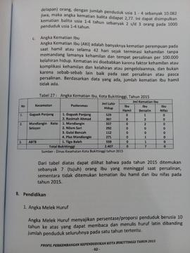 Khazanah arsip   halaman 4  dari  BAB IV. Kualitas Penduduk,  Kematian /  Angka Kematian Ibu.