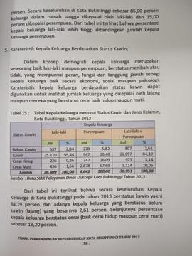 Khazanah arsip  halaman ke 39 dari BAB III, Karakteristik  Kepala Keluarga berdasarkan status kawin.