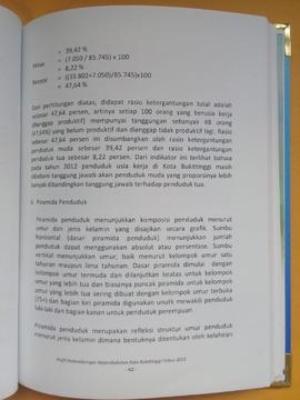 Khazanah arsip   halaman 22 dari BAB III,Piramida Penduduk.