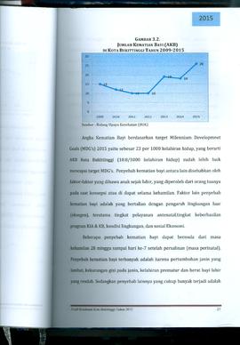 Khazanah Arsip Profil Kesehatan Kota Bukittinggi Tahun 2015 (Lembar 41)