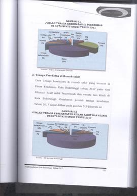 Khazanah Arsip Profil Kesehatan Kota Bukittinggi Tahun 2017 (lembar 117)