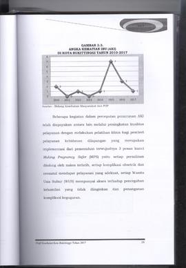 Khazanah Arsip Profil Kesehatan Kota Bukittinggi Tahun 2017 (lembar 45)