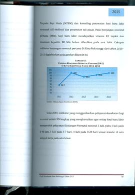 Khazanah Arsip Profil Kesehatan Kota Bukittinggi Tahun 2015 (Lembar 72)