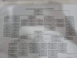struktur dinas koperasi ukm dan perdagangan kota bukittinggi