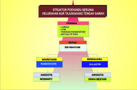 Struktur Posyandu Serunai  Kelurahan Aur Tajungkang Tengah Sawah Kecamatan Guguk Panjang Kota Bukittinggi