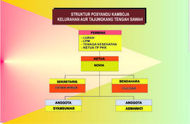 Struktur Posyandu Kamboja Kelurahan Aur Tajungkang Tengah Sawah Kecamatan Guguk Panjang Kota Buki...