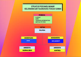 Struktur Posyandu Mawar Kelurahan Aur Tajungkang Tengah Sawah Kecamatan Guguk Panjang Kota Bukitt...