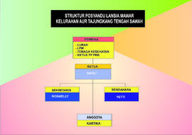 Struktur Posyandu Lansia Mawar Kelurahan Aur Tajungkang Tengah Sawah Kecamatan Guguk Panjang Kota...