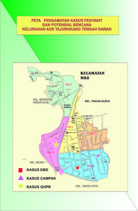 Peta Pengamatan Kasus Penyakit dan Potensial Bencana Kelurahan Aur Tajungkang Tengah Sawah Kecama...