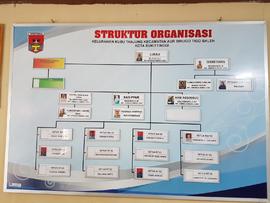 STRUKTUR ORAGANISASI KELURAHAN KUBU TANJUNG
